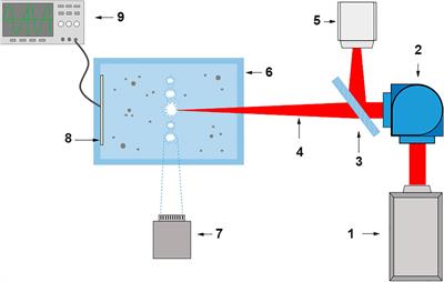 Analysis of Acoustic Signals During the Optical Breakdown of Aqueous Solutions of Fe Nanoparticles